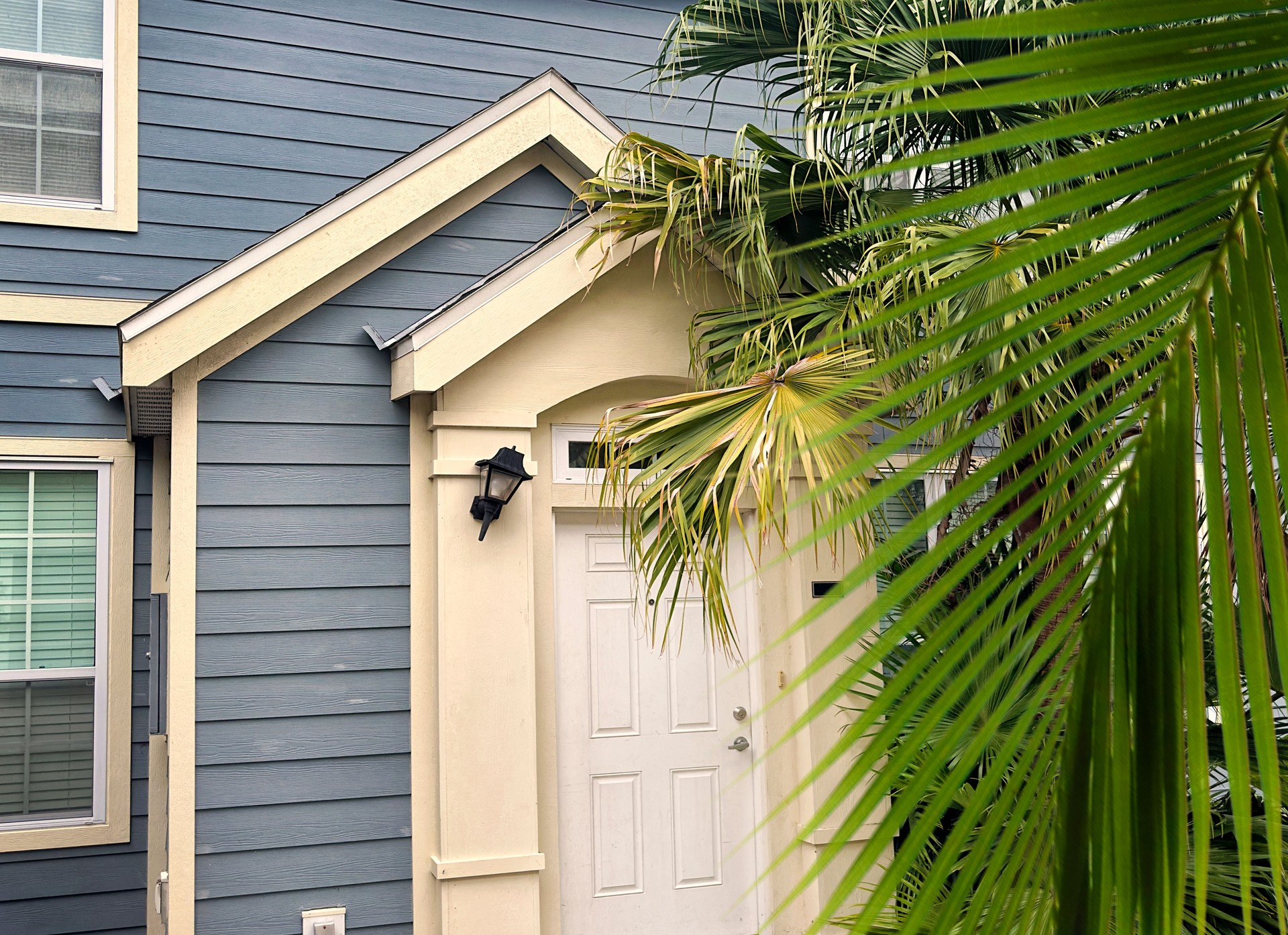 Close up single family house with palm tree